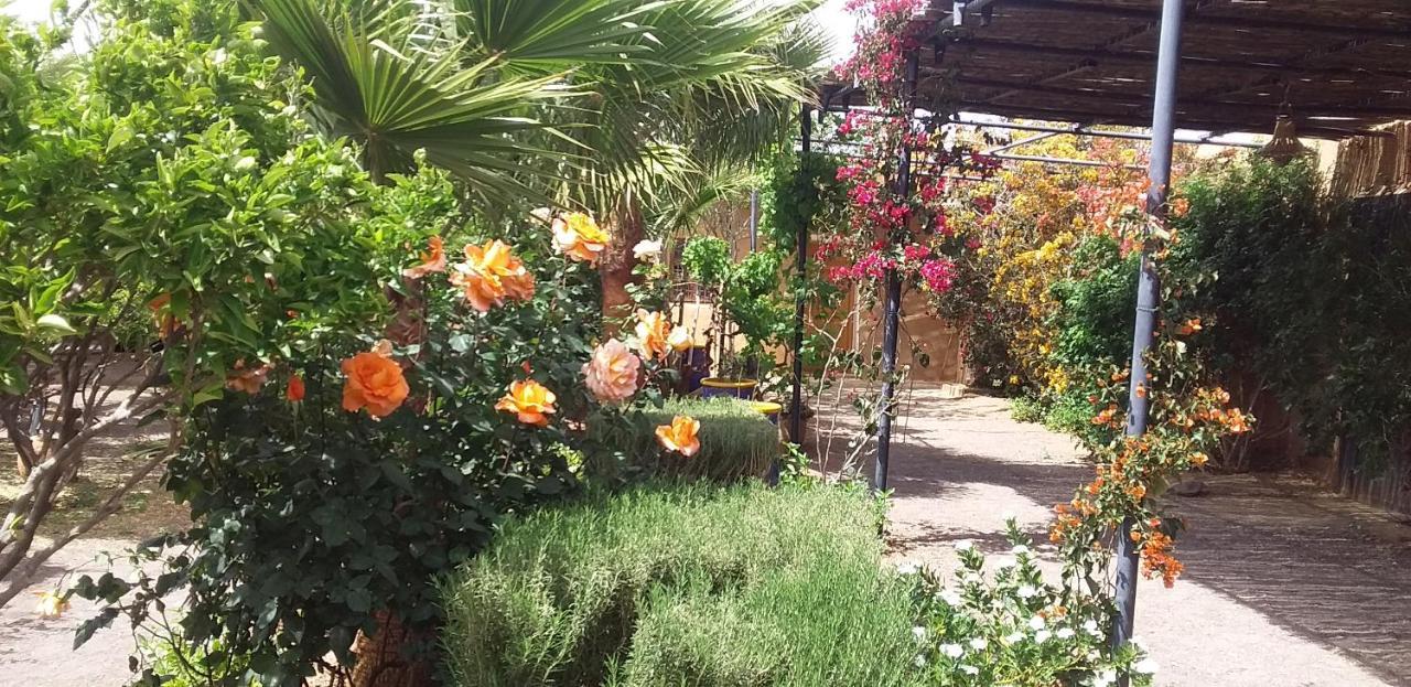 Auberge Bassou Nkob Exterior foto